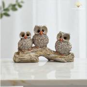 Fotos de Várias Variedades